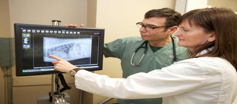 How Is Diagnostic Imaging Helping In Improving Public Health